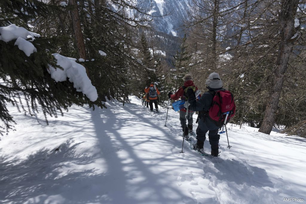 Début de la descente où Yves trace dans la neige vierge, loin des traces des skieurs